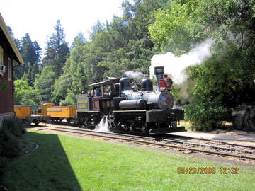 Roaring Camp RR. Photo by the Keatings May, 2008